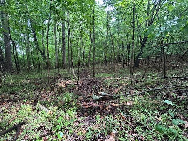 7111 Faucette Farms Drive Property Photo 21