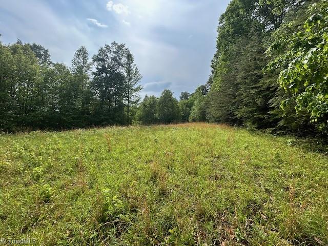 7111 Faucette Farms Drive Property Photo 25