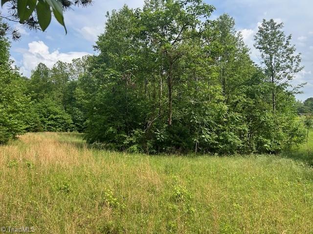 7111 Faucette Farms Drive Property Photo 26