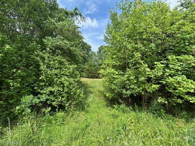 7111 Faucette Farms Drive Property Photo 27