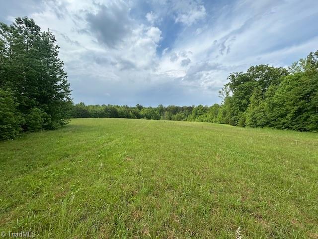 7111 Faucette Farms Drive Property Photo 29