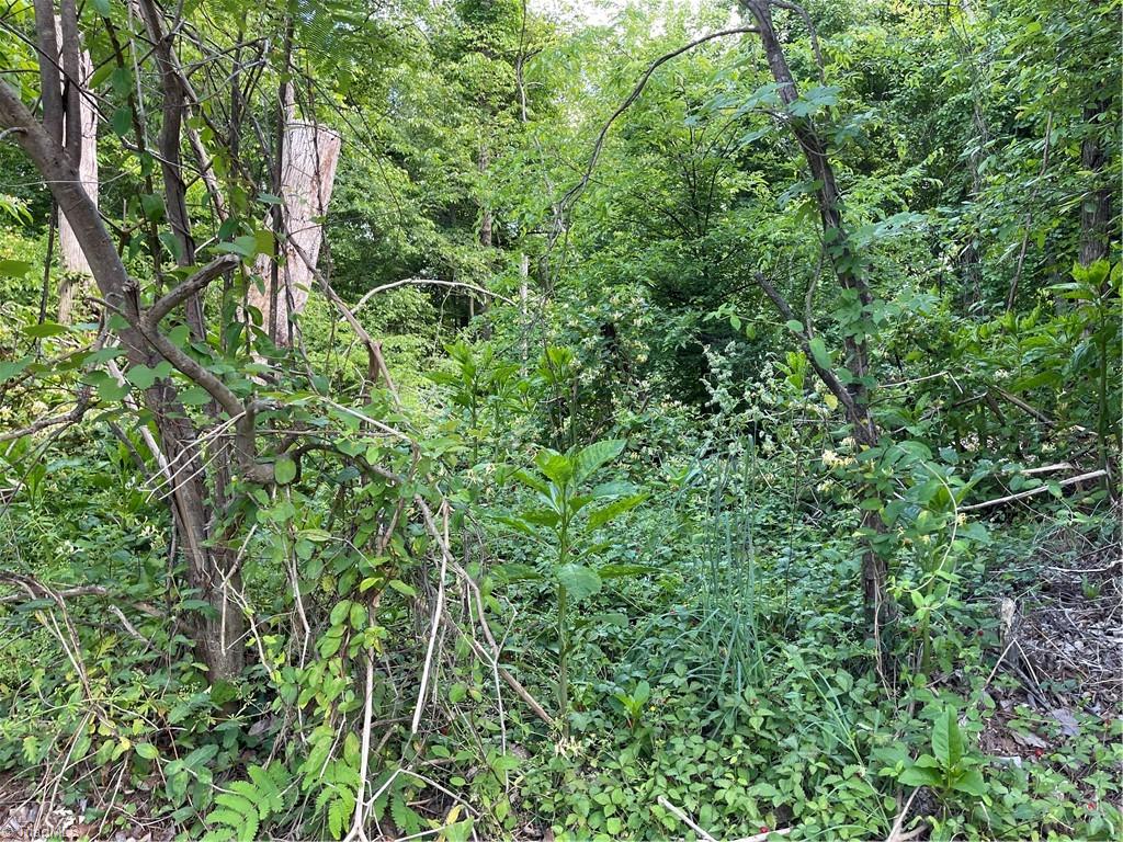 2805 County Clare Road Property Photo 2