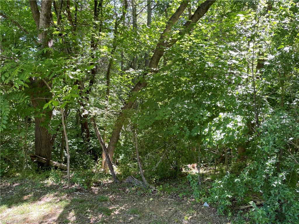 00 Thompson Road Property Photo 4