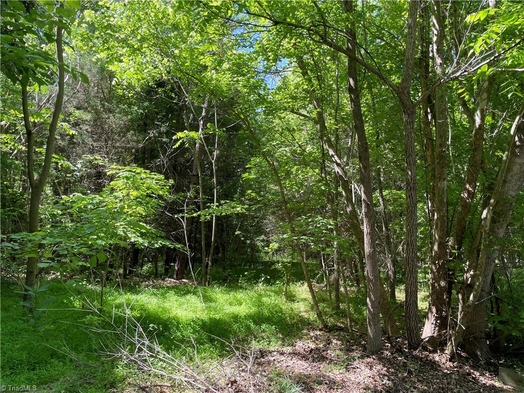 00 Thompson Road Property Photo 8