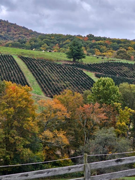 4793 Cheek Mountain Road Property Photo 26