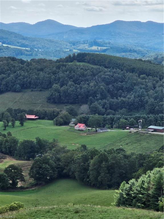 4793 Cheek Mountain Road Property Photo 30