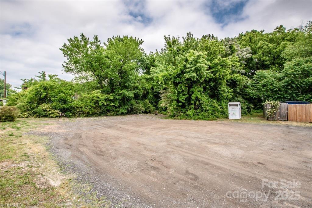 1105 Parkwood Avenue Property Photo 9