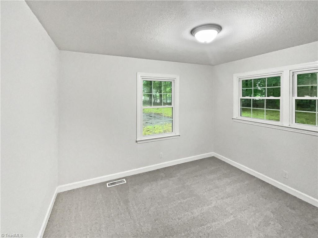 236 Wandering Lane Property Photo 11