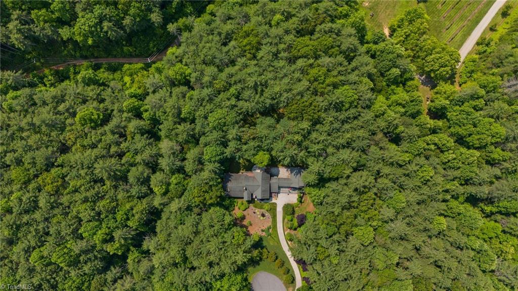 5626 Rocky Falls Lane Property Photo 15