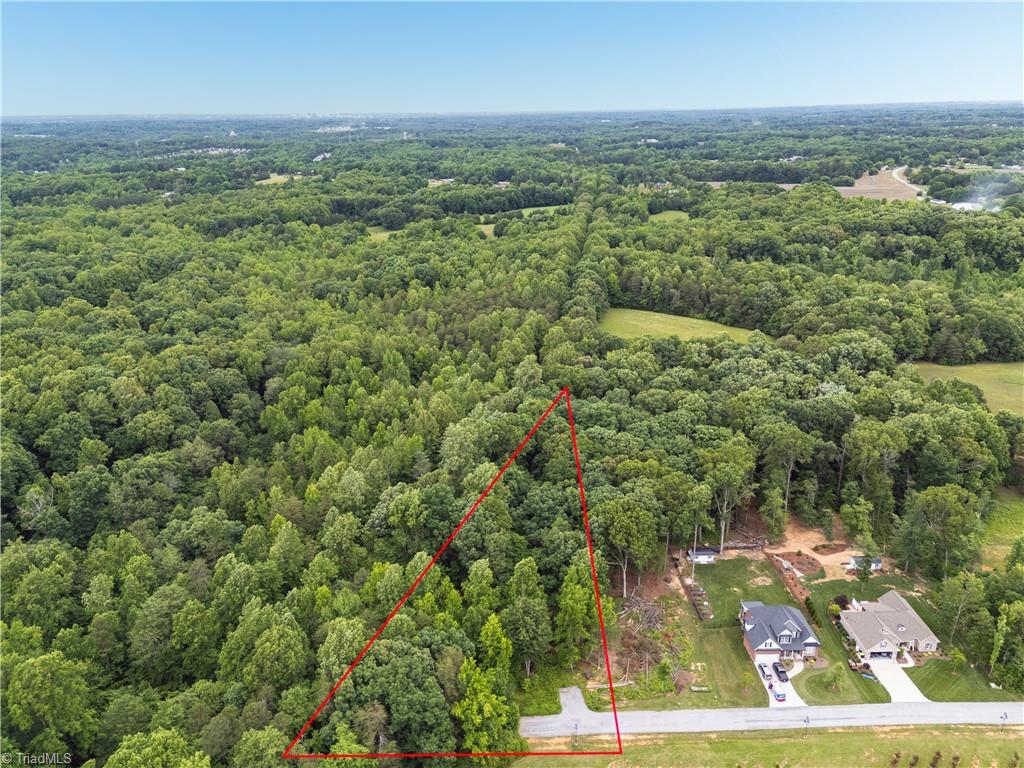 202 Belle Arbor Drive Property Photo 15