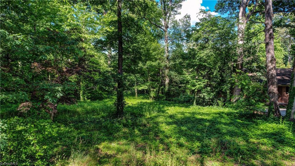 4204- A Henderson Road Property Photo 3