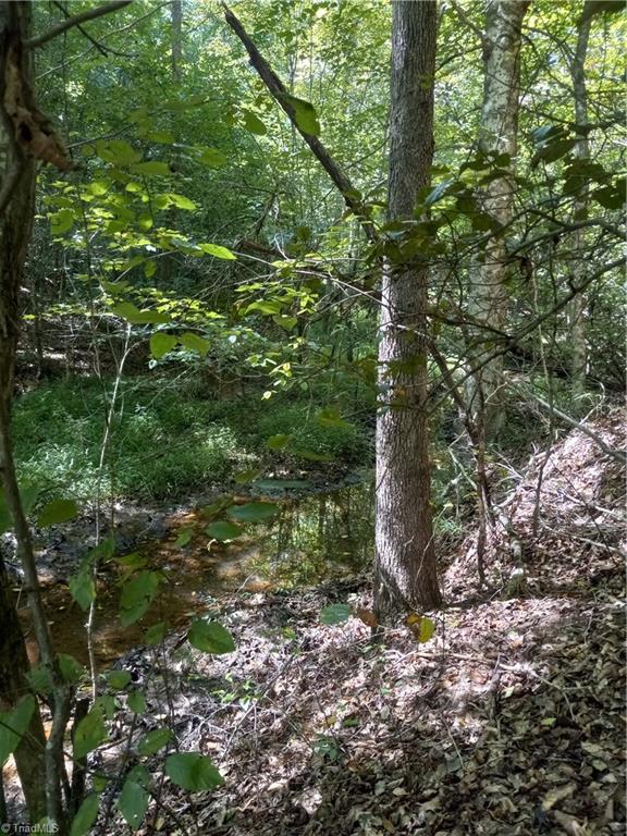 Tbd River Rd Liberty Grove Road Property Photo 4