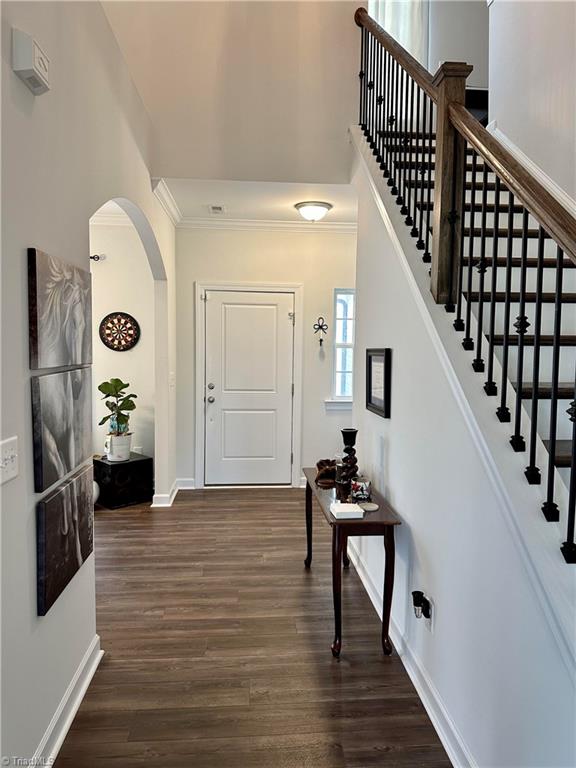 12 Freemont Court Property Photo 17