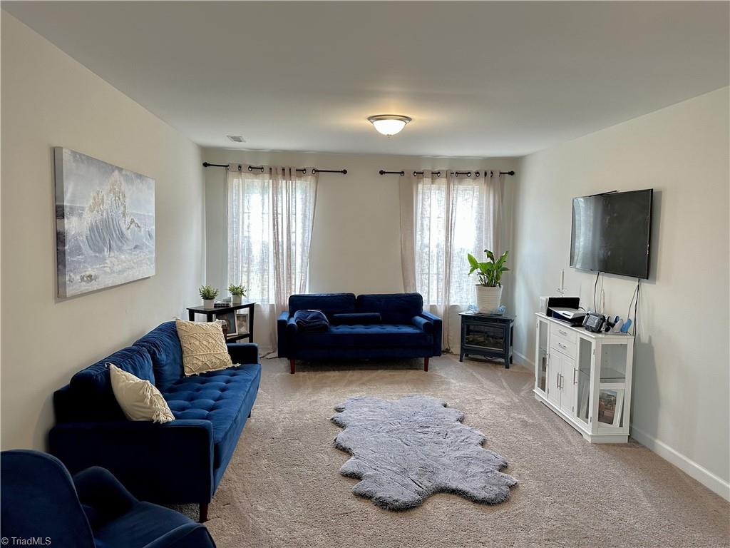 12 Freemont Court Property Photo 29