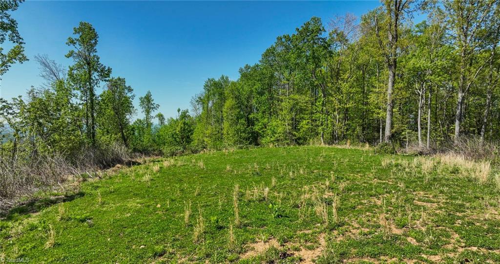000 Swaringen Road Property Photo 34