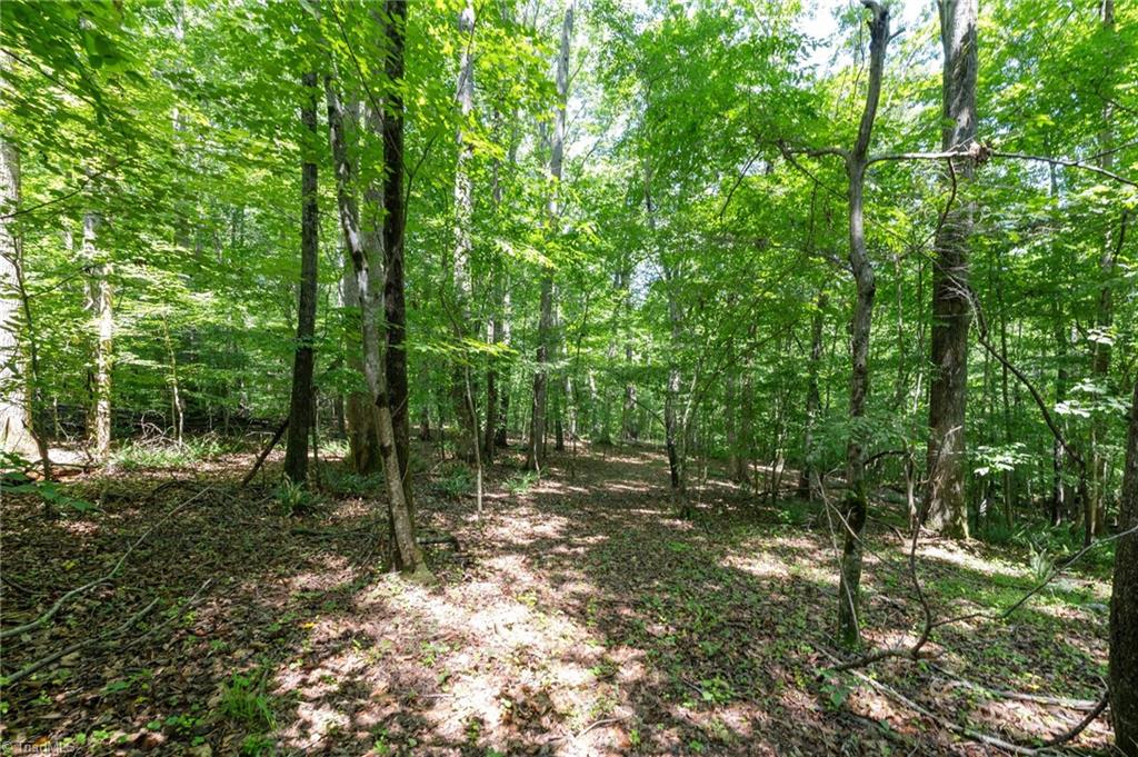 6910 Long Meadow Lane Property Photo 1