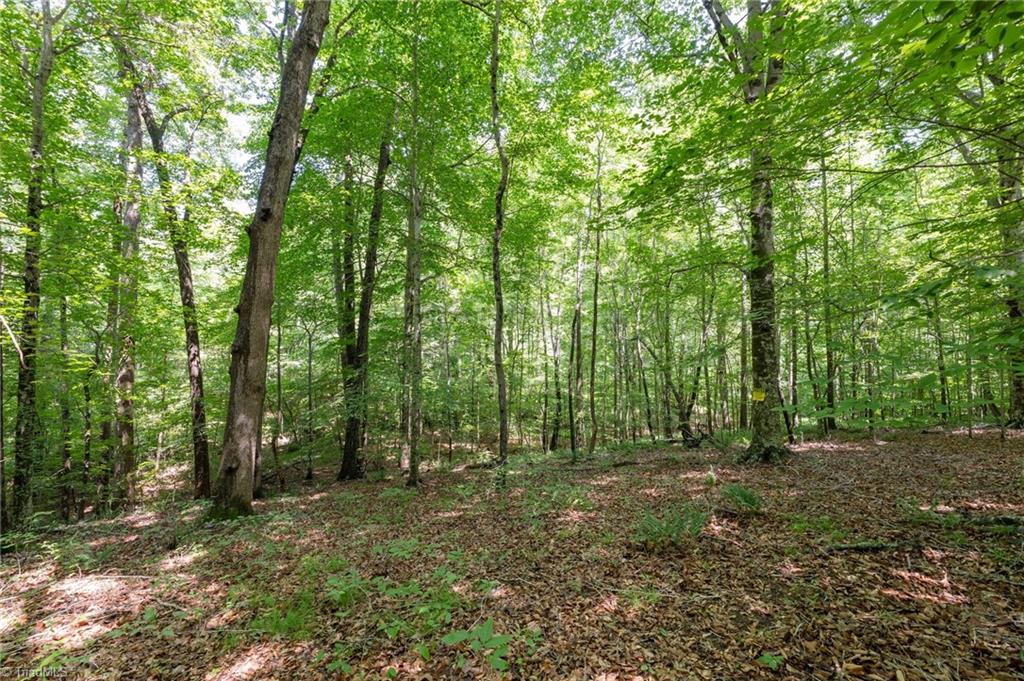 6910 Long Meadow Lane Property Photo 3