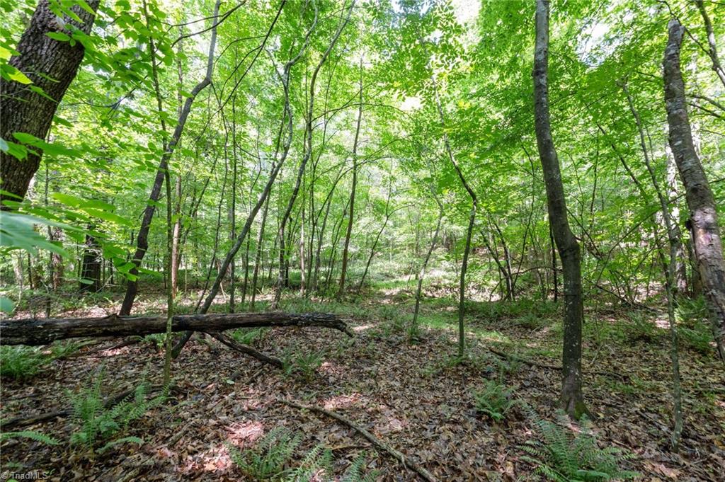 6910 Long Meadow Lane Property Photo 4