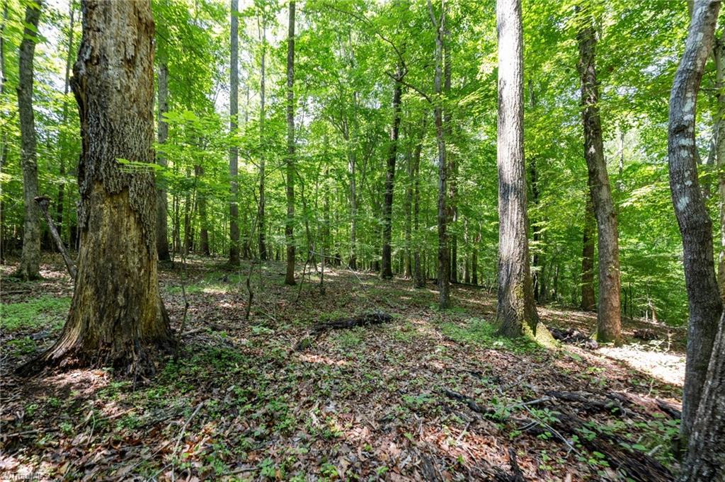 6910 Long Meadow Lane Property Photo 12