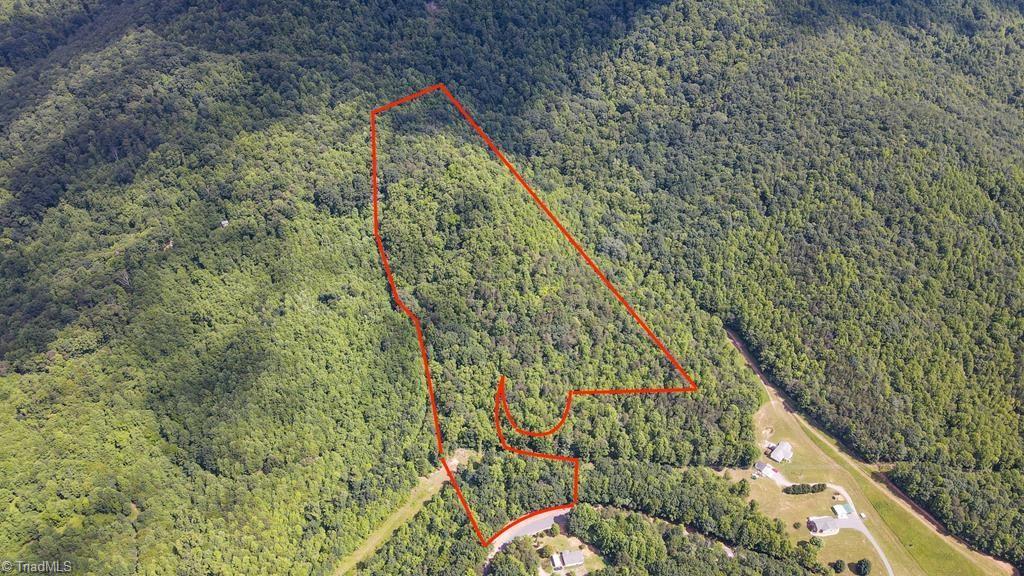 0 Bear Trail Property Photo 1