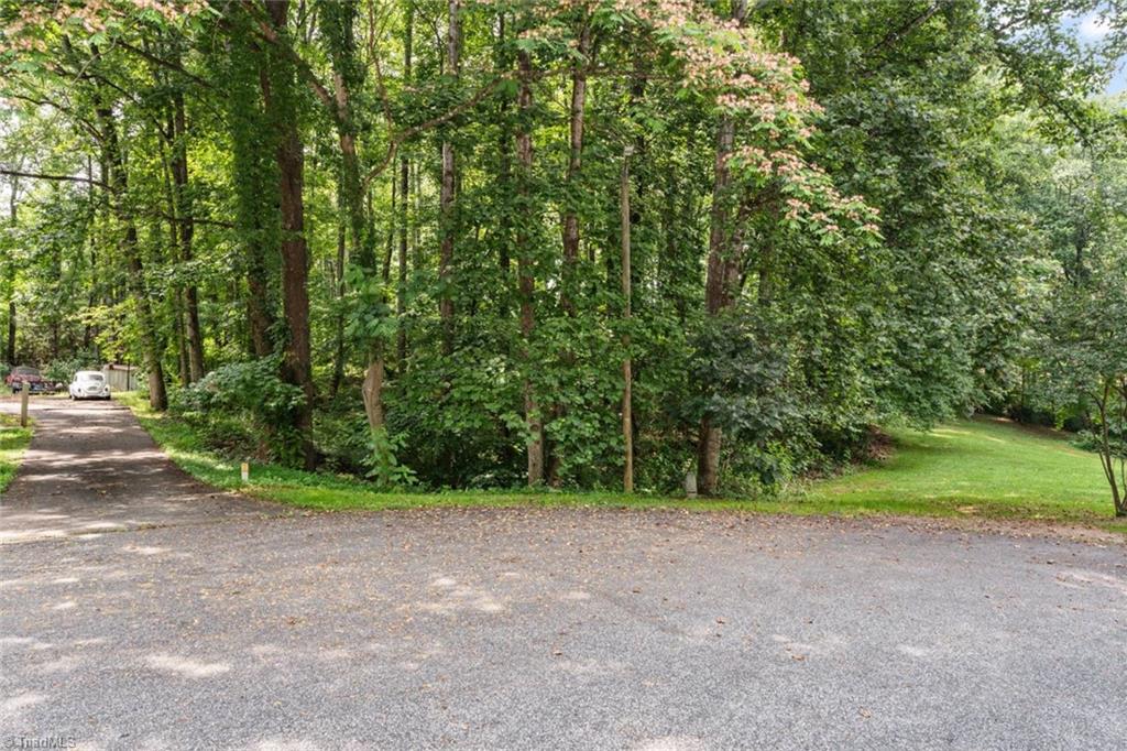 183 Blanco Peak Drive Property Photo 1