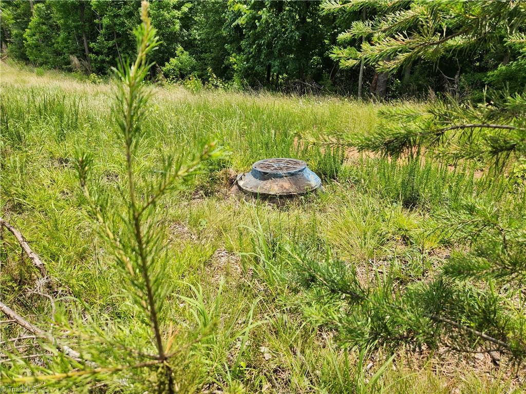 1201 Zz Nc Highway 61 S Property Photo 10