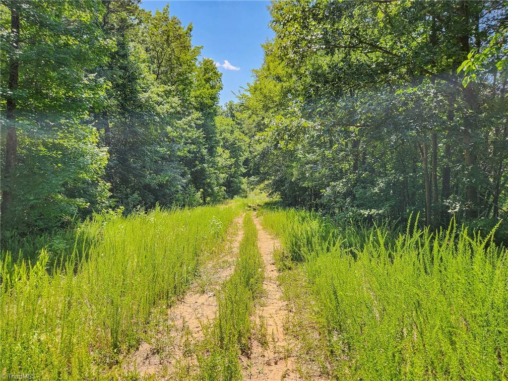 1201 Zz Nc Highway 61 S Property Photo 12