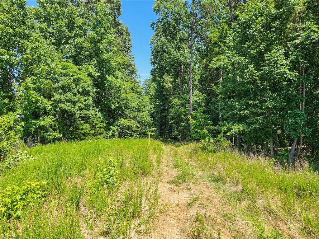 1201 Zz Nc Highway 61 S Property Photo 13