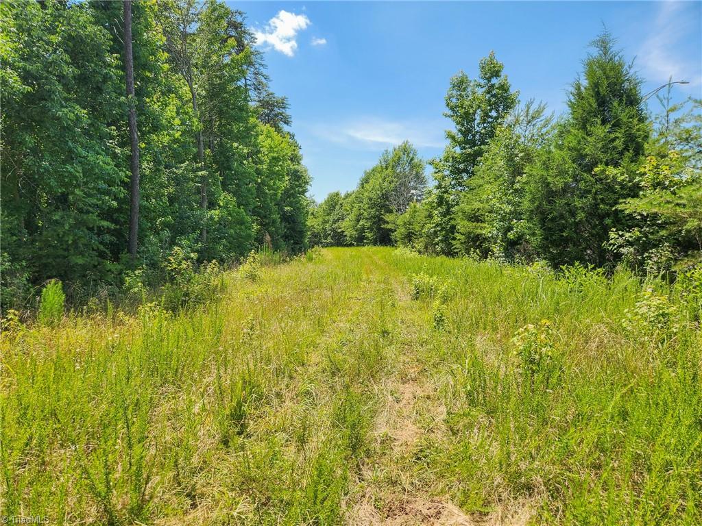 1201 Zz Nc Highway 61 S Property Photo 14