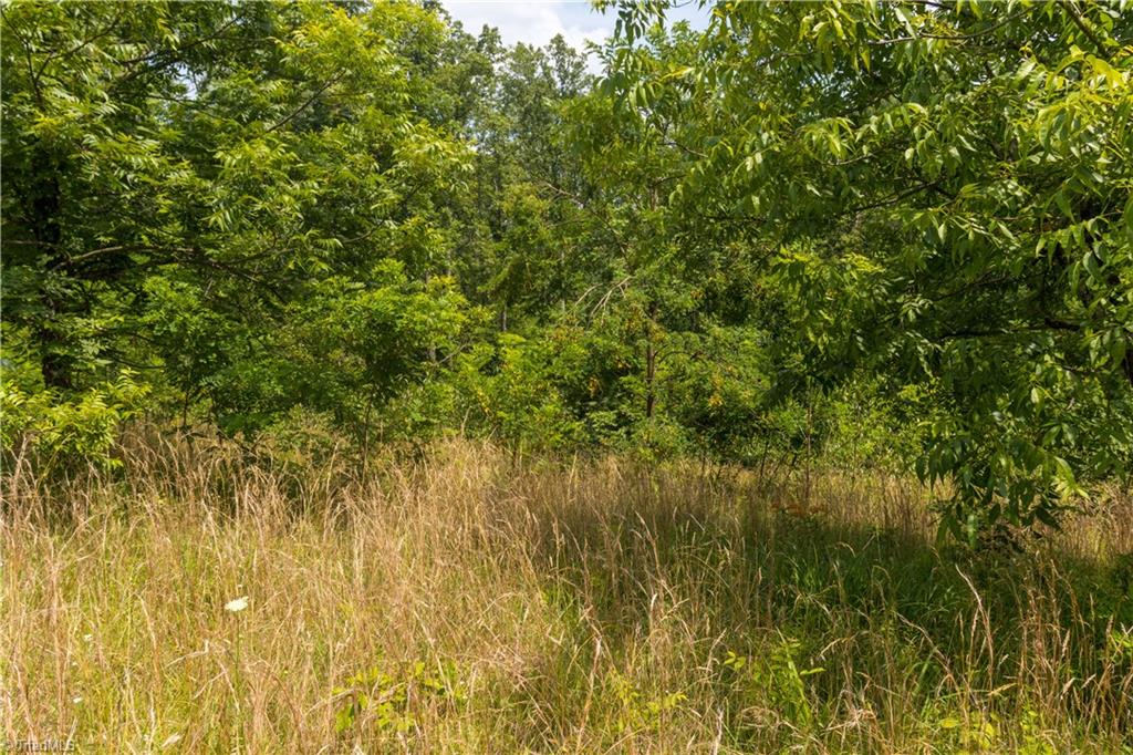 000 Lot Joyce Woodworks Road Property Photo 11