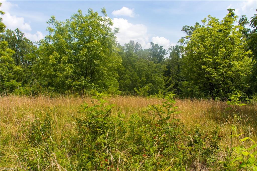 000 Lot Joyce Woodworks Road Property Photo 12