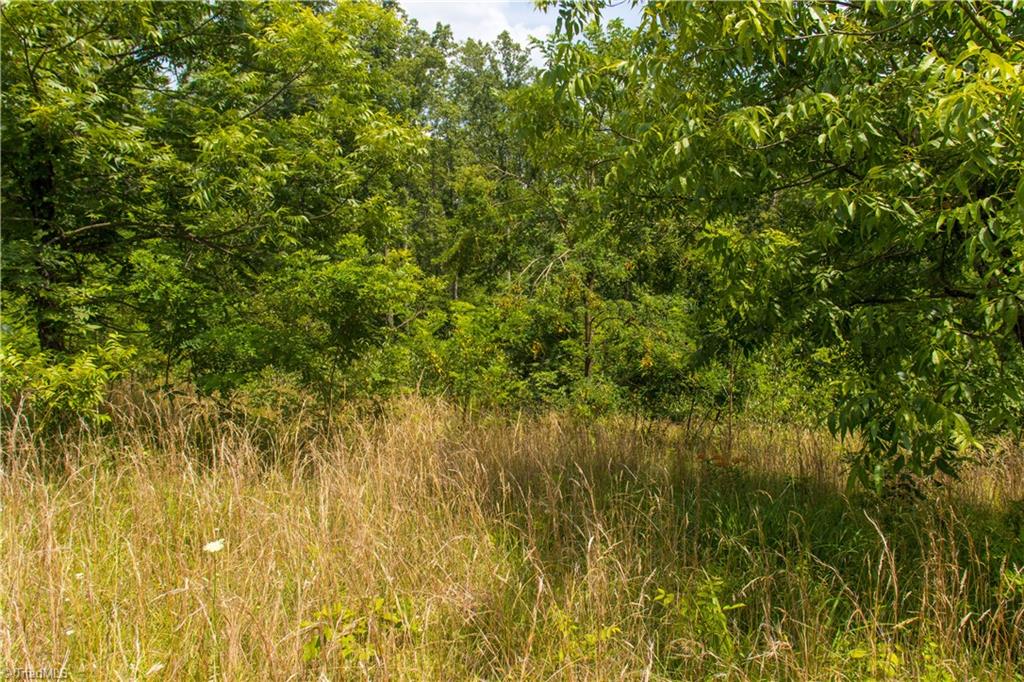 000 Lot Joyce Woodworks Road Property Photo 13