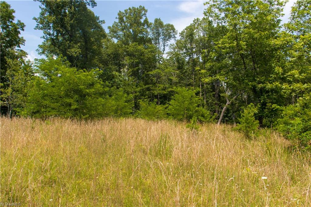 000 Lot Joyce Woodworks Road Property Photo 14