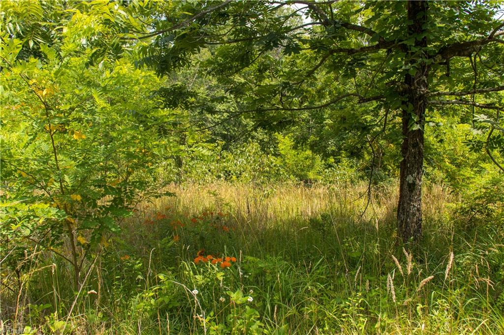 000 Lot Joyce Woodworks Road Property Photo 15