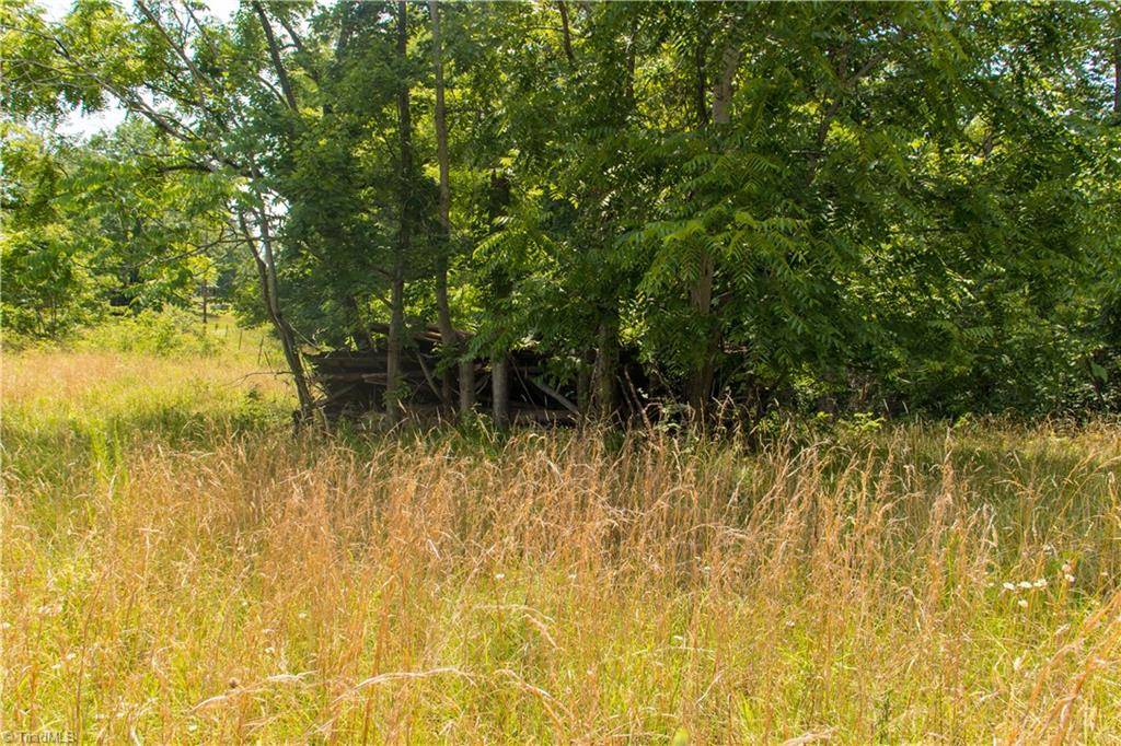 000 Lot Joyce Woodworks Road Property Photo 16