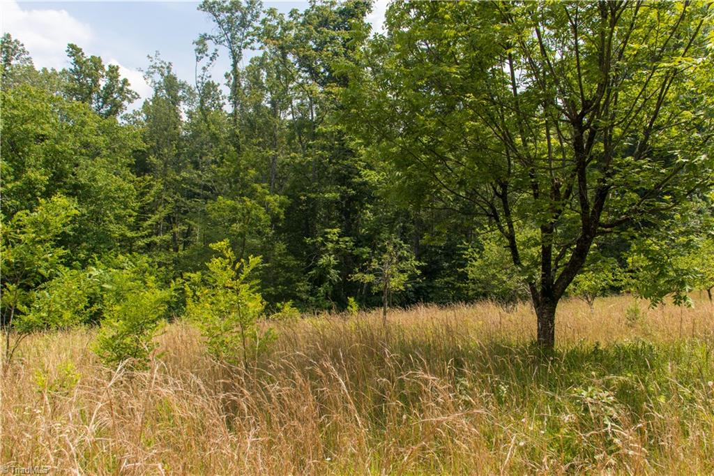 000 Lot Joyce Woodworks Road Property Photo 17