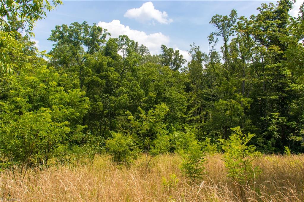 000 Lot Joyce Woodworks Road Property Photo 18