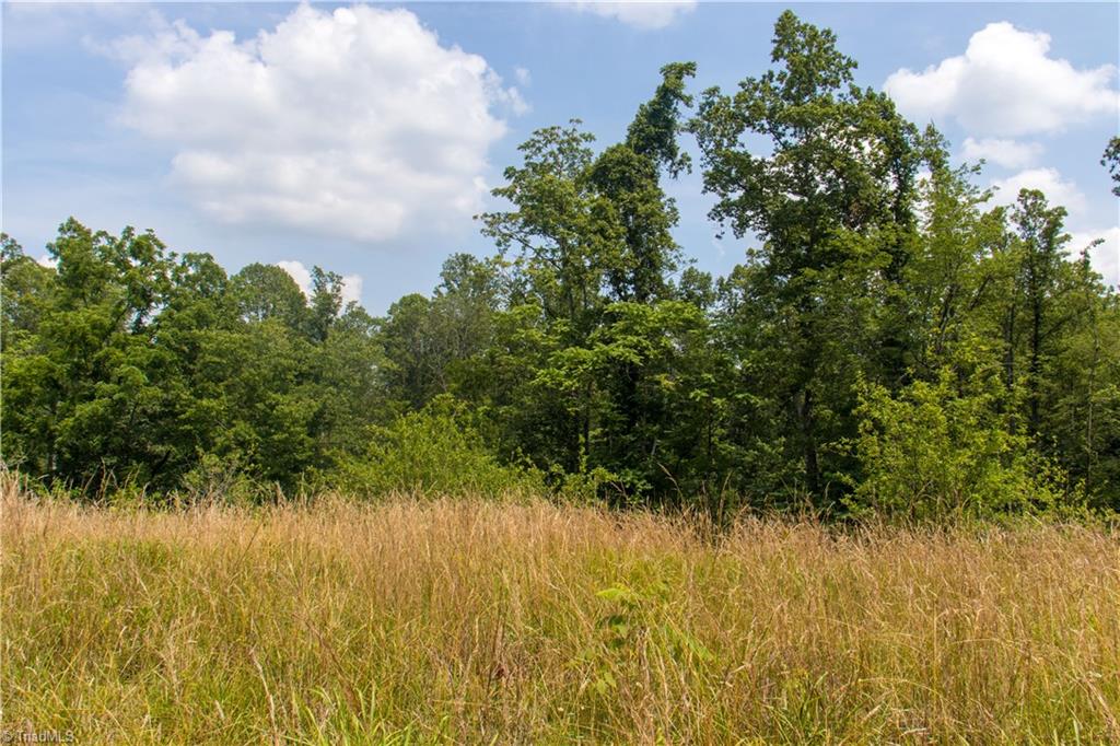 000 Lot Joyce Woodworks Road Property Photo 19