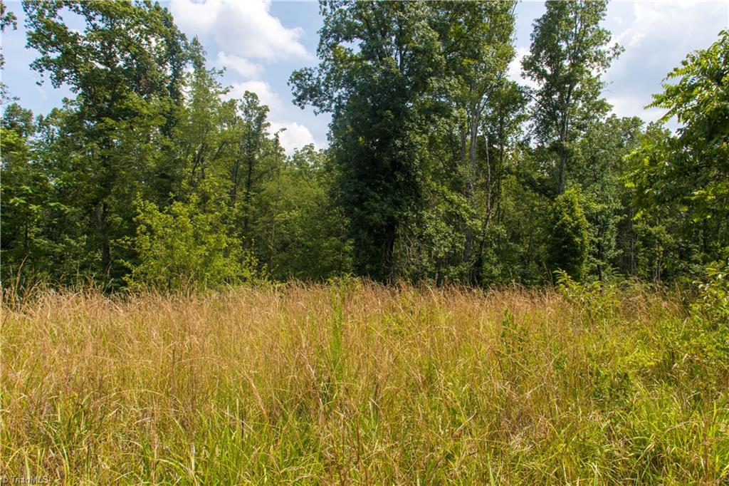 000 Lot Joyce Woodworks Road Property Photo 20