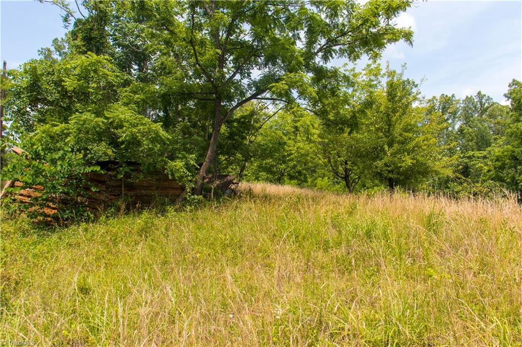 000 Lot Joyce Woodworks Road Property Photo 21