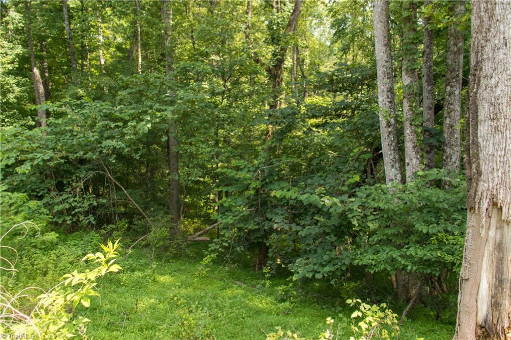 000 Lot Joyce Woodworks Road Property Photo 22