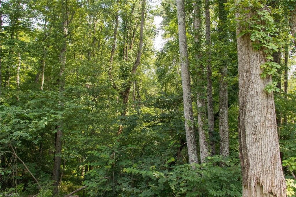 000 Lot Joyce Woodworks Road Property Photo 23