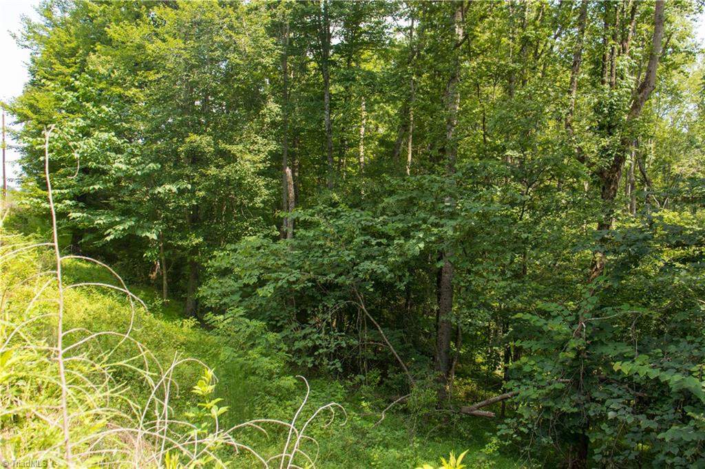 000 Lot Joyce Woodworks Road Property Photo 24