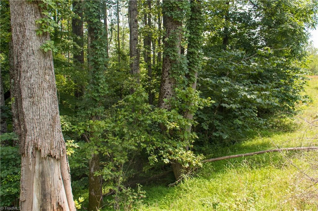 000 Lot Joyce Woodworks Road Property Photo 25