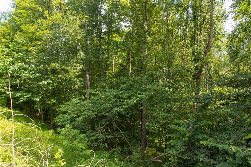 000 Lot Joyce Woodworks Road Property Photo 26