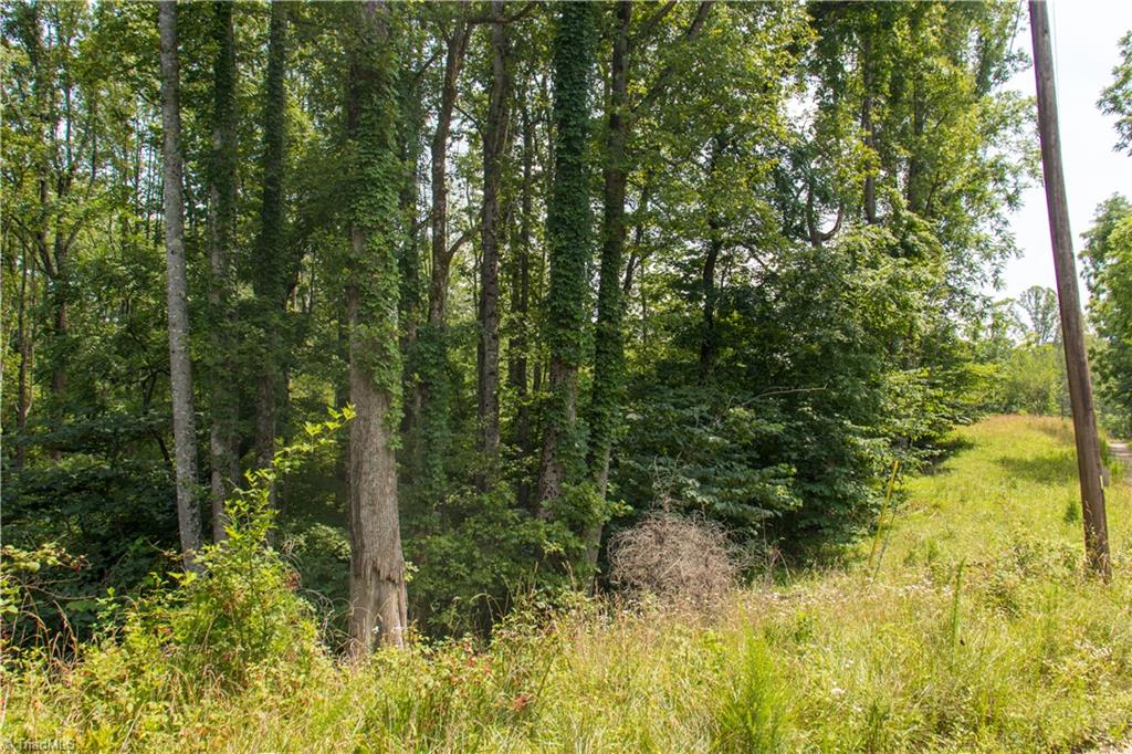 000 Lot Joyce Woodworks Road Property Photo 27