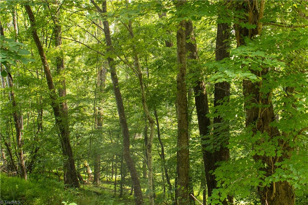 000 Lot Joyce Woodworks Road Property Photo 28