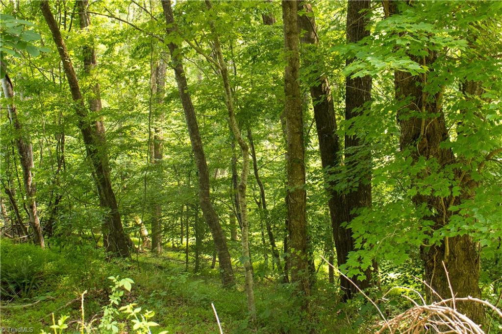 000 Lot Joyce Woodworks Road Property Photo 29