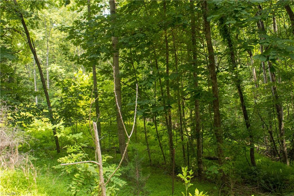 000 Lot Joyce Woodworks Road Property Photo 30