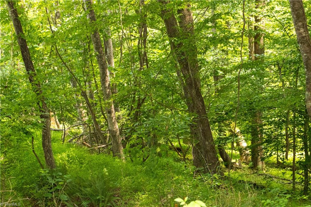 000 Lot Joyce Woodworks Road Property Photo 31